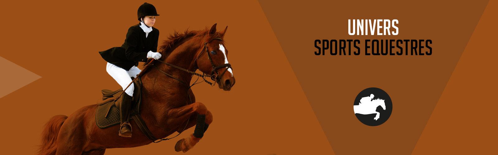 Banniere-univers-equitation